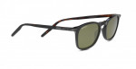  - Sluneční brýle Serengeti Delio 8850 Polarizační