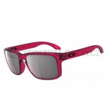  - Sluneční brýle Oakley Holbrook OO9102-37