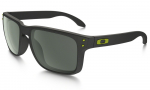  - náhledSluneční brýle Oakley Holbrook OO9102 38